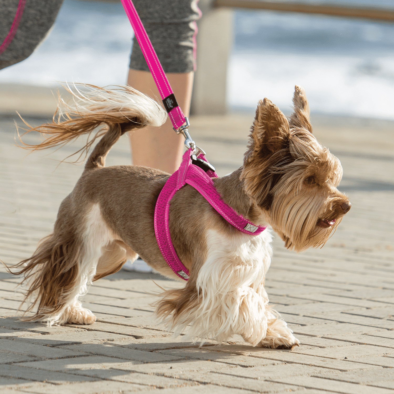Rogz Utility Fast-Fit Harness - XXSmall Only!