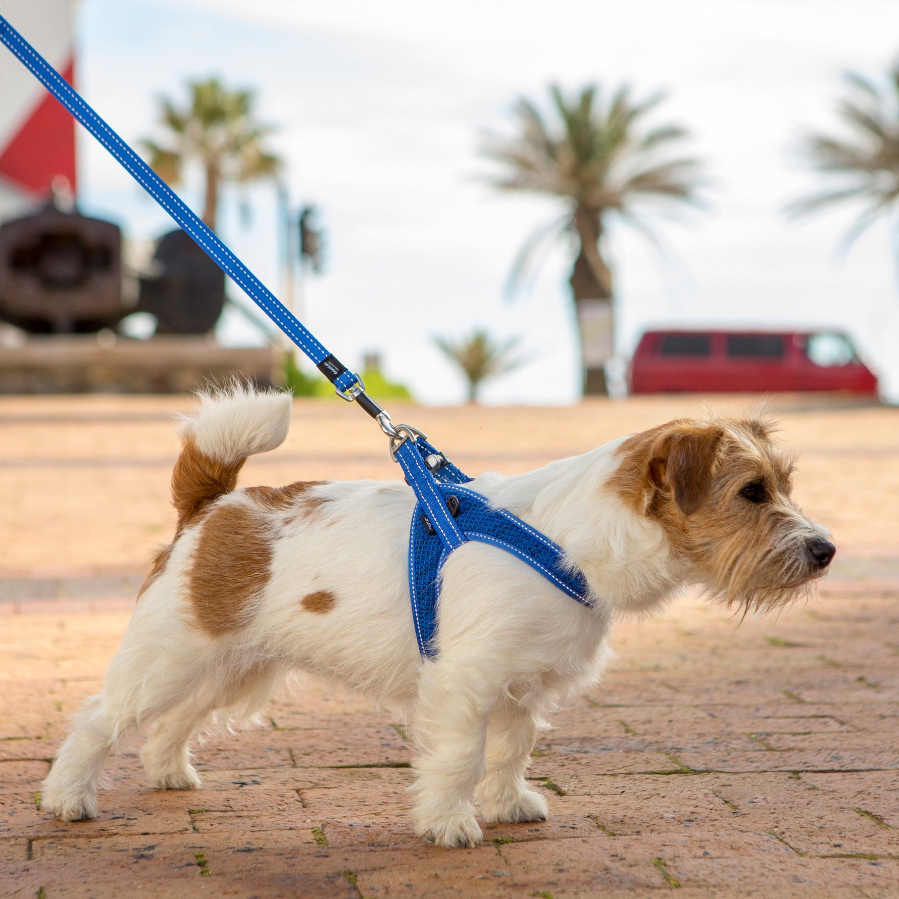 Rogz Utility Fast-Fit Harness - XXSmall Only!