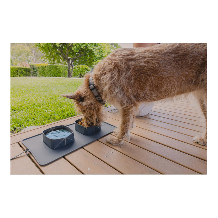 EzyDog Roll-A-Bowl