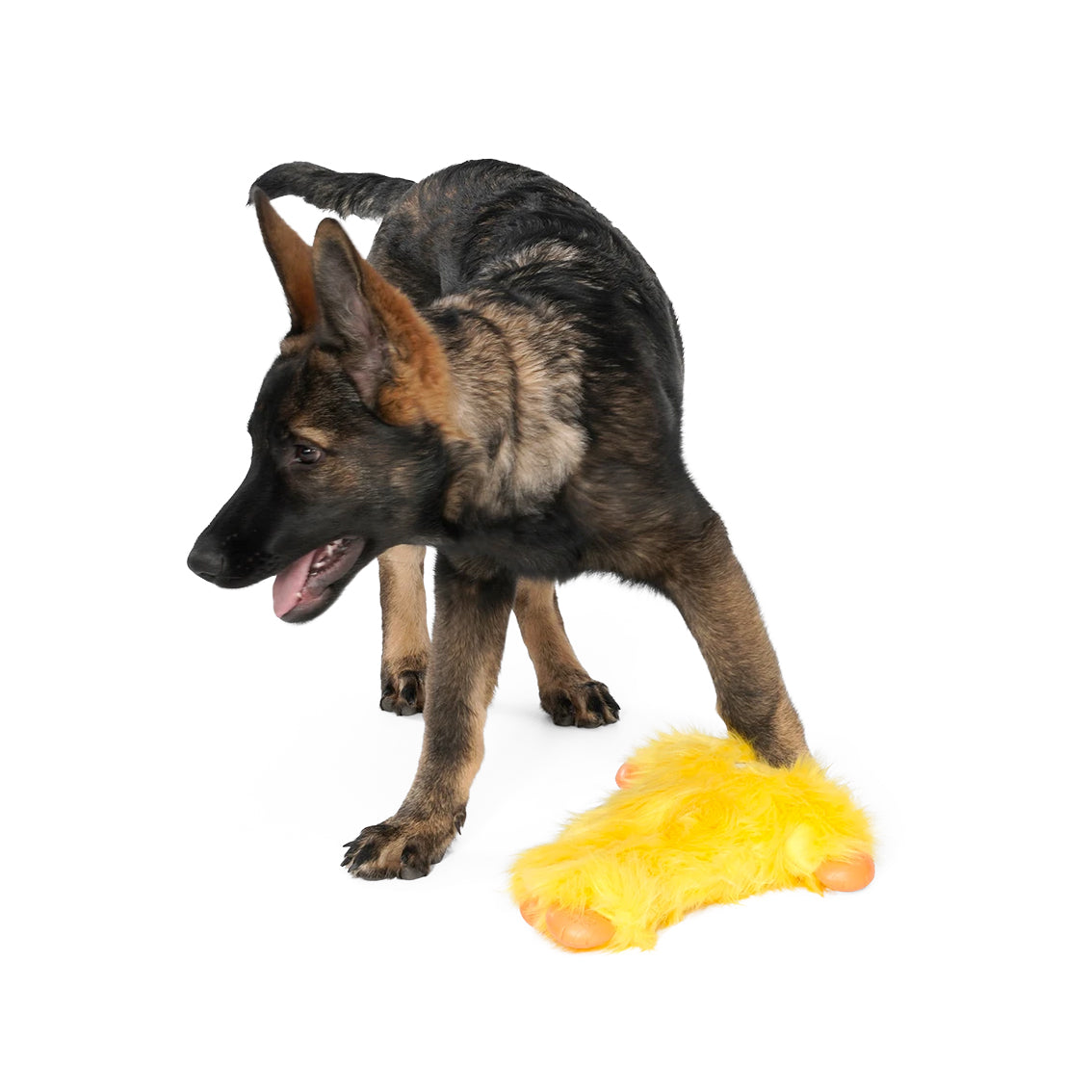 West Paw Rowdie Tough Plush Dog Toy - Peet