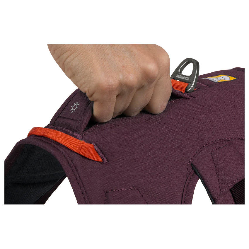 Ruffwear Web Master Dog Harness With Handle