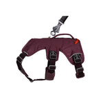 Ruffwear Web Master Dog Harness With Handle