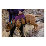 Ruffwear Web Master Dog Harness With Handle