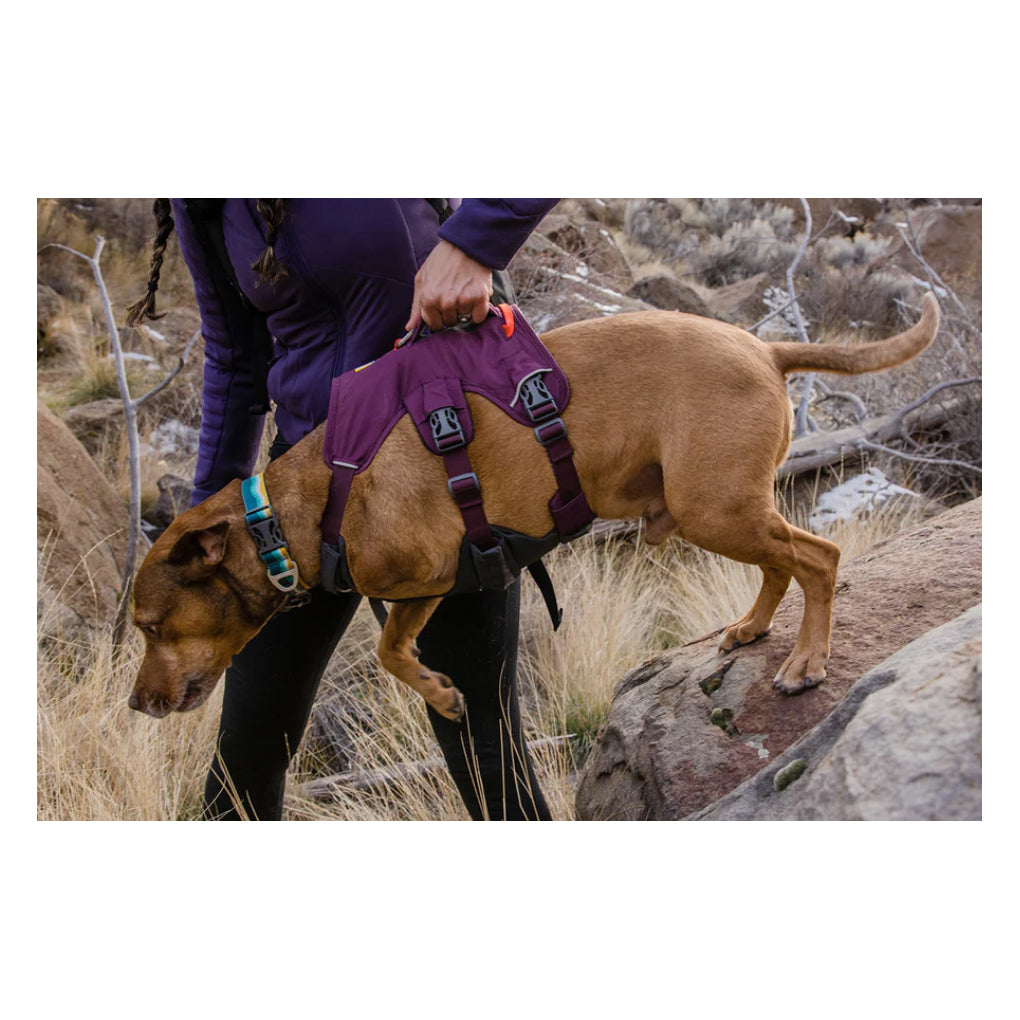 Ruffwear Web Master Harness New Design vetnpet DIRECT