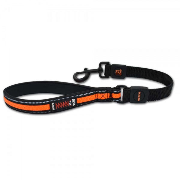 Scream Reflective Bungee Leash with Padded Handle