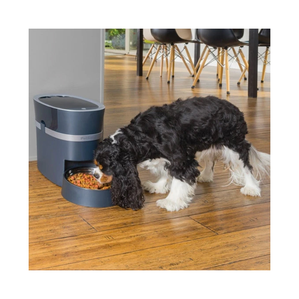 PetSafe Smart Feed Automatic Pet Feeder