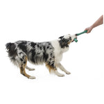 West Paw Seaflex Recycled Plastic Tug Dog Toy - Snorkl