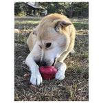 Mutts Kick Butt Rubber Cupcake Chew Toy & Treat Dispenser