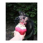 Mutts Kick Butt Rubber Cupcake Chew Toy & Treat Dispenser
