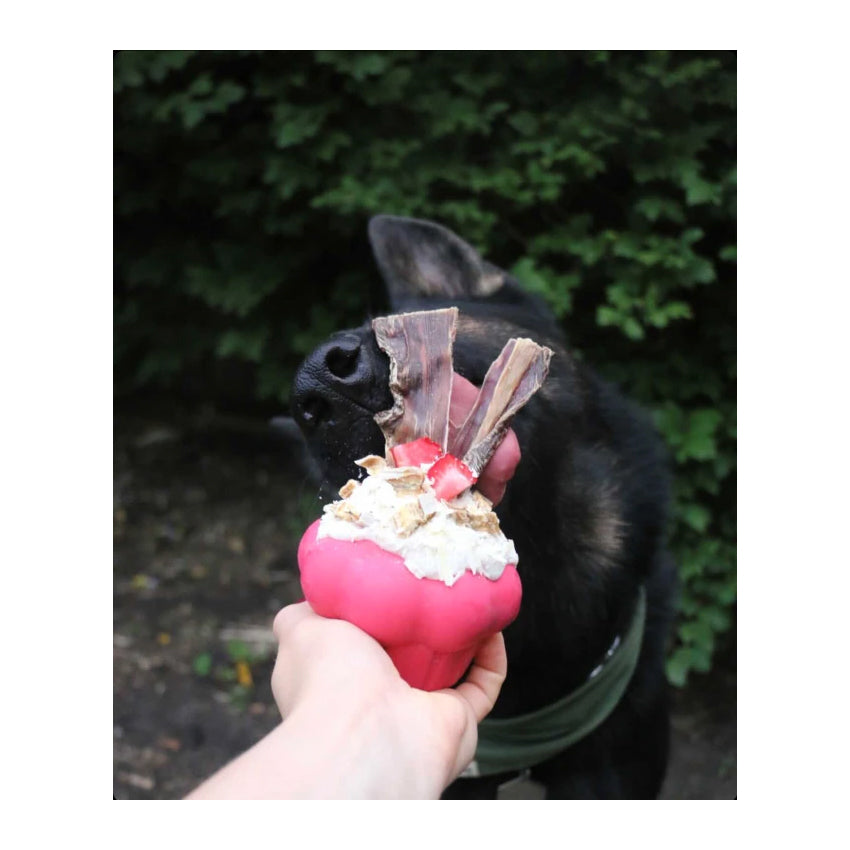 Mutts Kick Butt Rubber Cupcake Chew Toy & Treat Dispenser