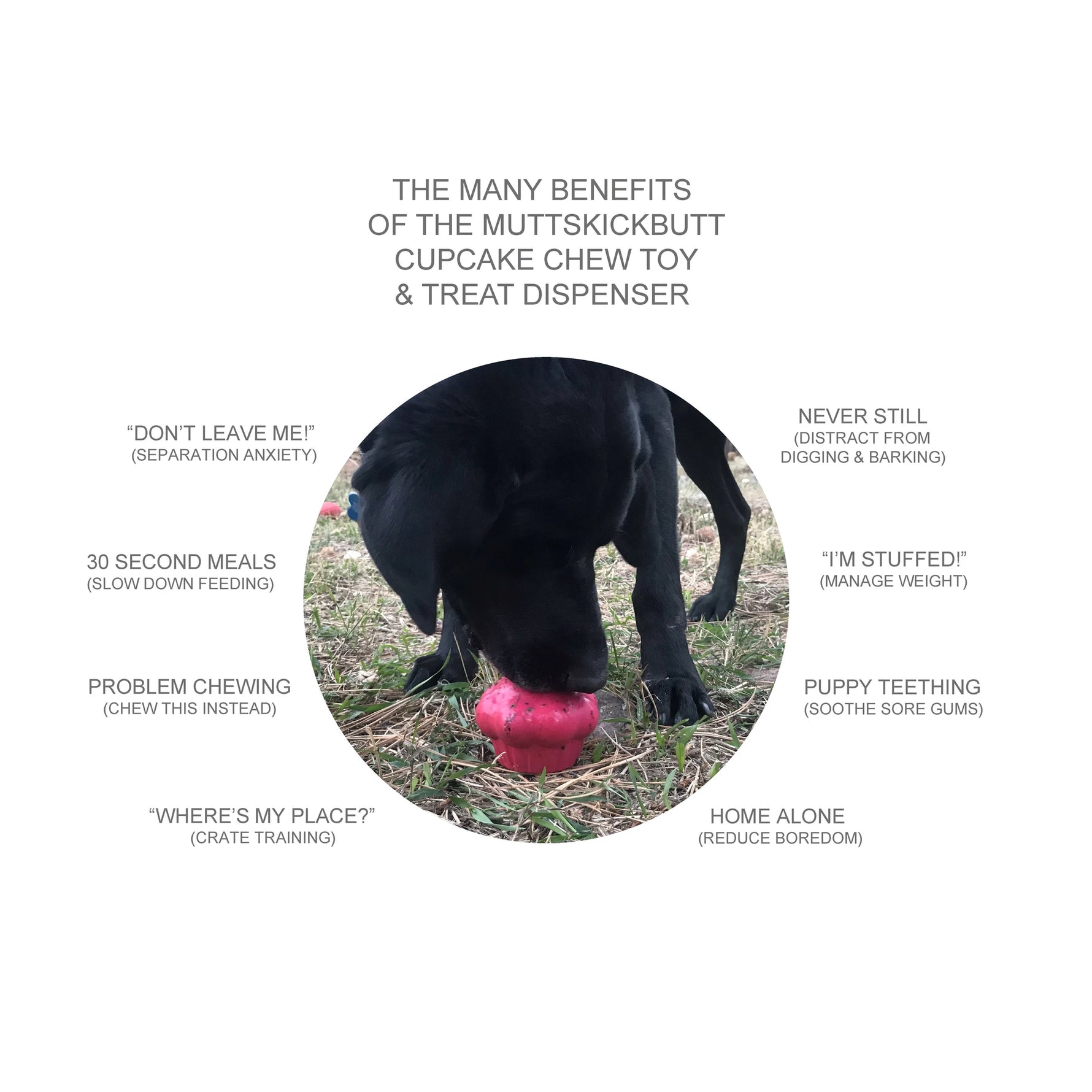 Mutts Kick Butt Rubber Cupcake Chew Toy & Treat Dispenser