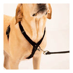 Sporn Ultimate Control Harness