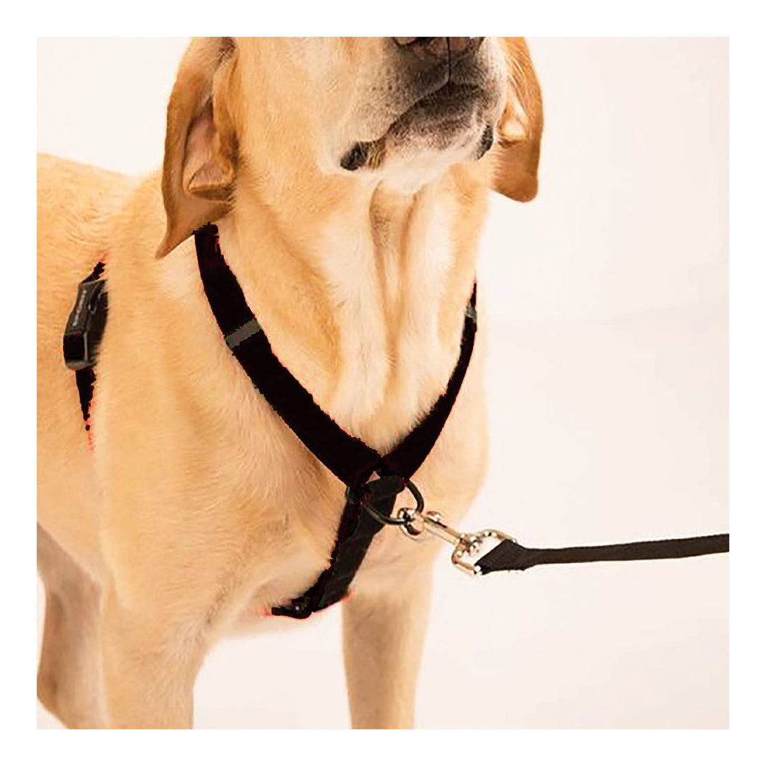 Sporn Ultimate Control Harness