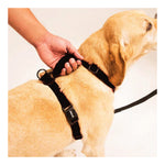 Sporn Ultimate Control Harness