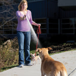 PetSafe SprayShield Animal Deterrent Spray