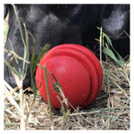 Stars & Stripes Dental Ball & Durable Chew Toy