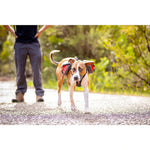 EzyDog Summit Dog Backpack