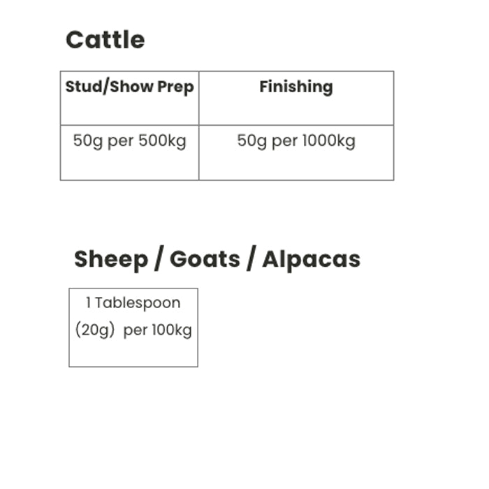 TuffRock Super-Tuff with Kakadu Plum