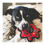 Tuffy JR Gear Ring