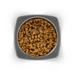 EzyDog Uno Bowl