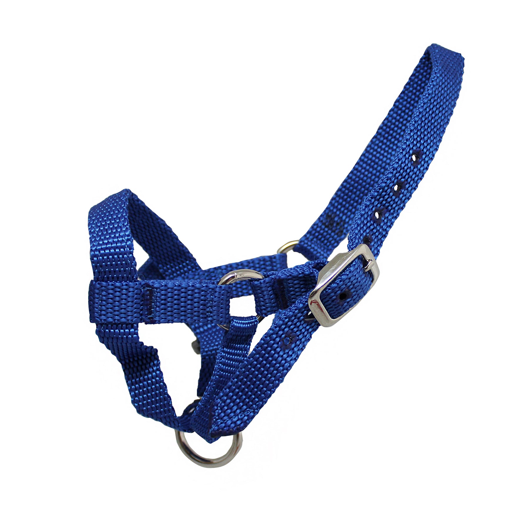 Webbing Alpaca Halter