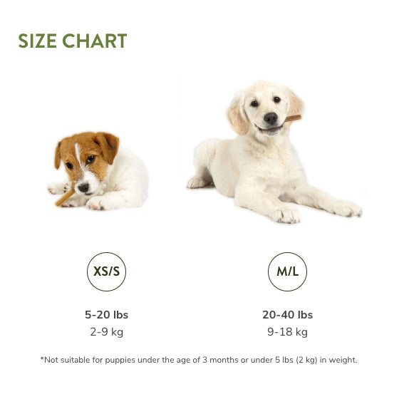 Whimzees All Natural Daily Dental Treats  for Puppies - Value Bag
