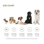 Whimzees Toothbrush All Natural Daily Dental Treats for Dogs - Value Pack