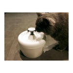 All Fur You Whisper Water Fountain
