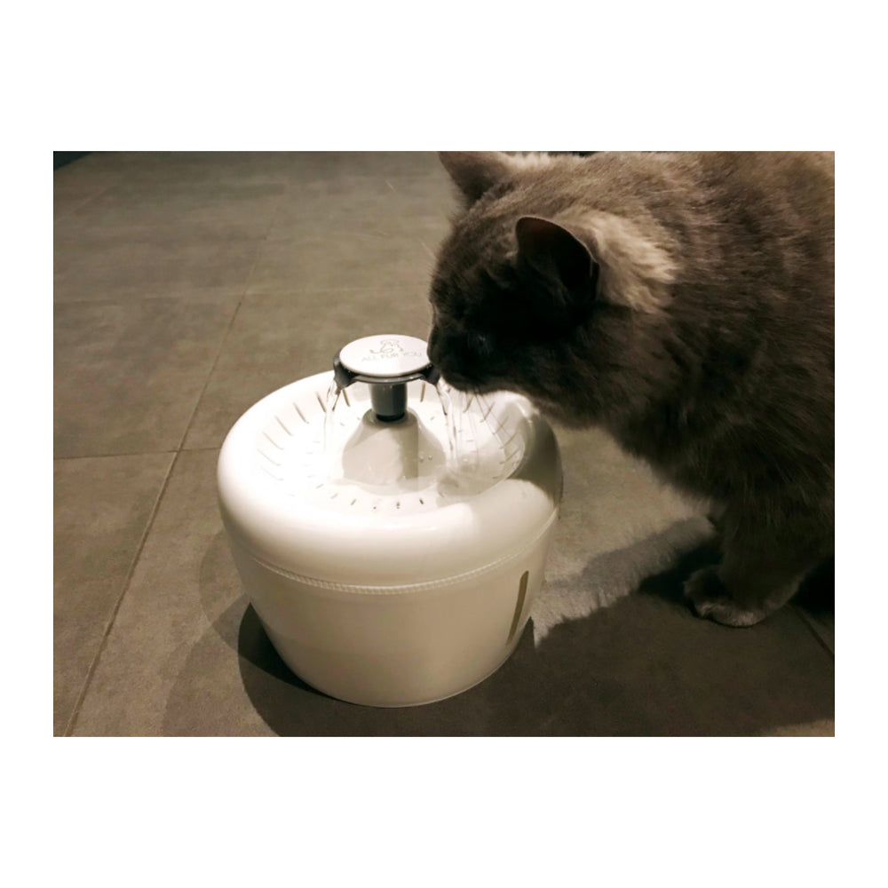 All Fur You Whisper Water Fountain