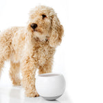 All Fur You Wobbler Slow Feeder Bowl