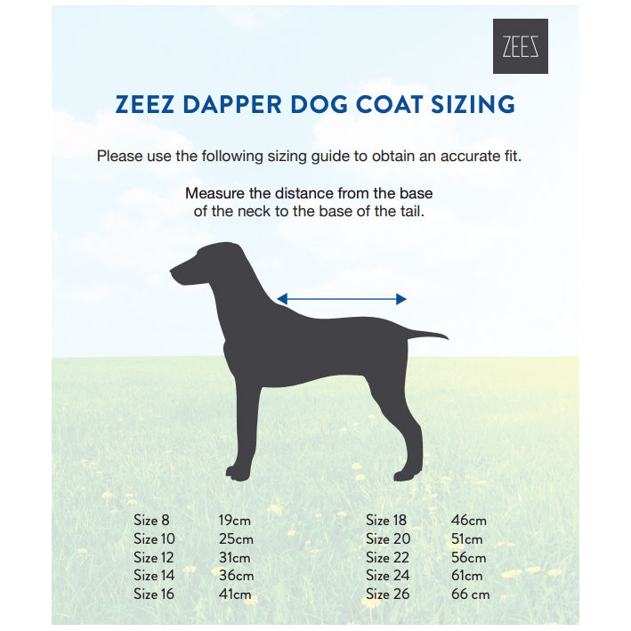 ZeeZ Dapper Dog Coat - Mint Green