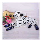 ZeeZ Waterproof Nylon Dog Boots - 4 Pack