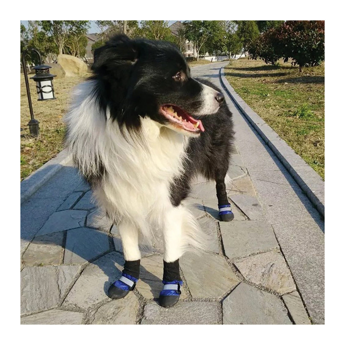ZeeZ Waterproof Nylon Dog Boots - 4 Pack