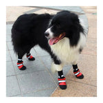 ZeeZ Waterproof Nylon Dog Boots - 4 Pack